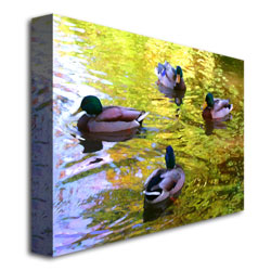Amy Vangsgard 'Four Ducks On Pond' Canvas Wall Art 35 X 47