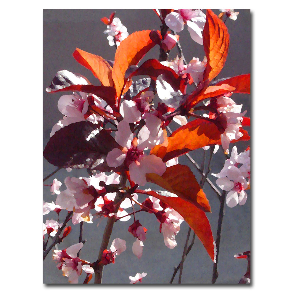 Amy Vangsvard 'Pink Tree Blossoms' Canvas Wall Art 35 X 47