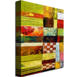 Michelle Calkins 'Checkers And Stripes' Canvas Wall Art 35 X 47