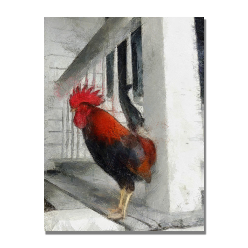 Michelle Calkins 'Key West Rooster' Canvas Wall Art 35 X 47