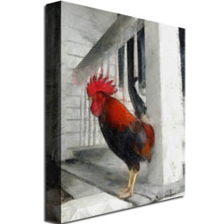 Michelle Calkins 'Key West Rooster' Canvas Wall Art 35 X 47