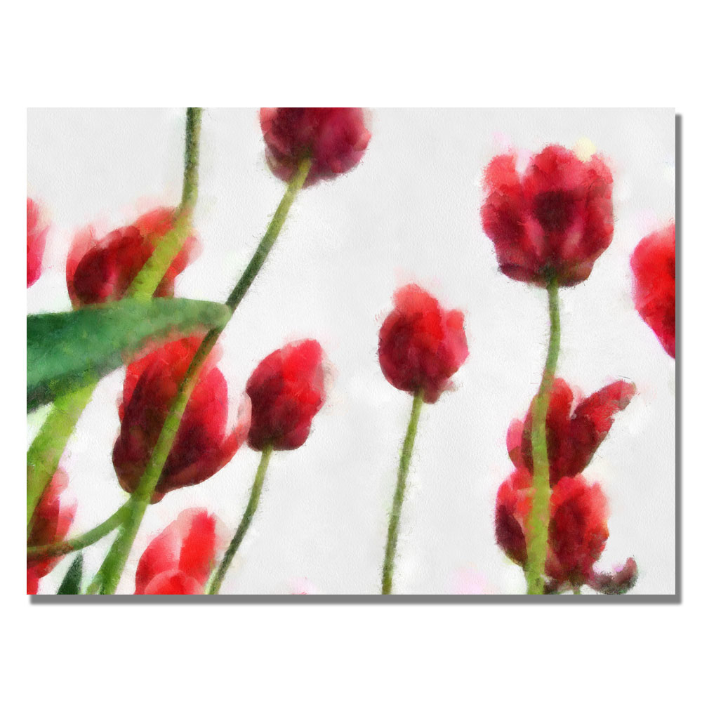 Michelle Calkins 'Red Tulips From Bottom Up II' Canvas Wall Art 35 X 47