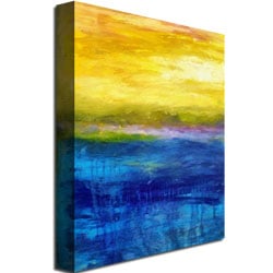Michelle Calkins 'Gold And Pink Sunset' Canvas Wall Art 35 X 47