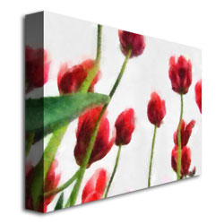 Michelle Calkins 'Red Tulips From Bottom Up II' Canvas Wall Art 35 X 47