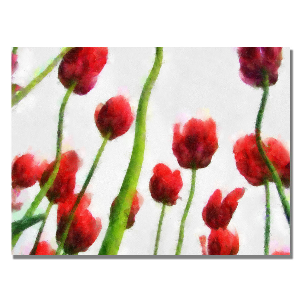 Michelle Calkins 'Red Tulips From Bottom Up III' Canvas Wall Art 35 X 47
