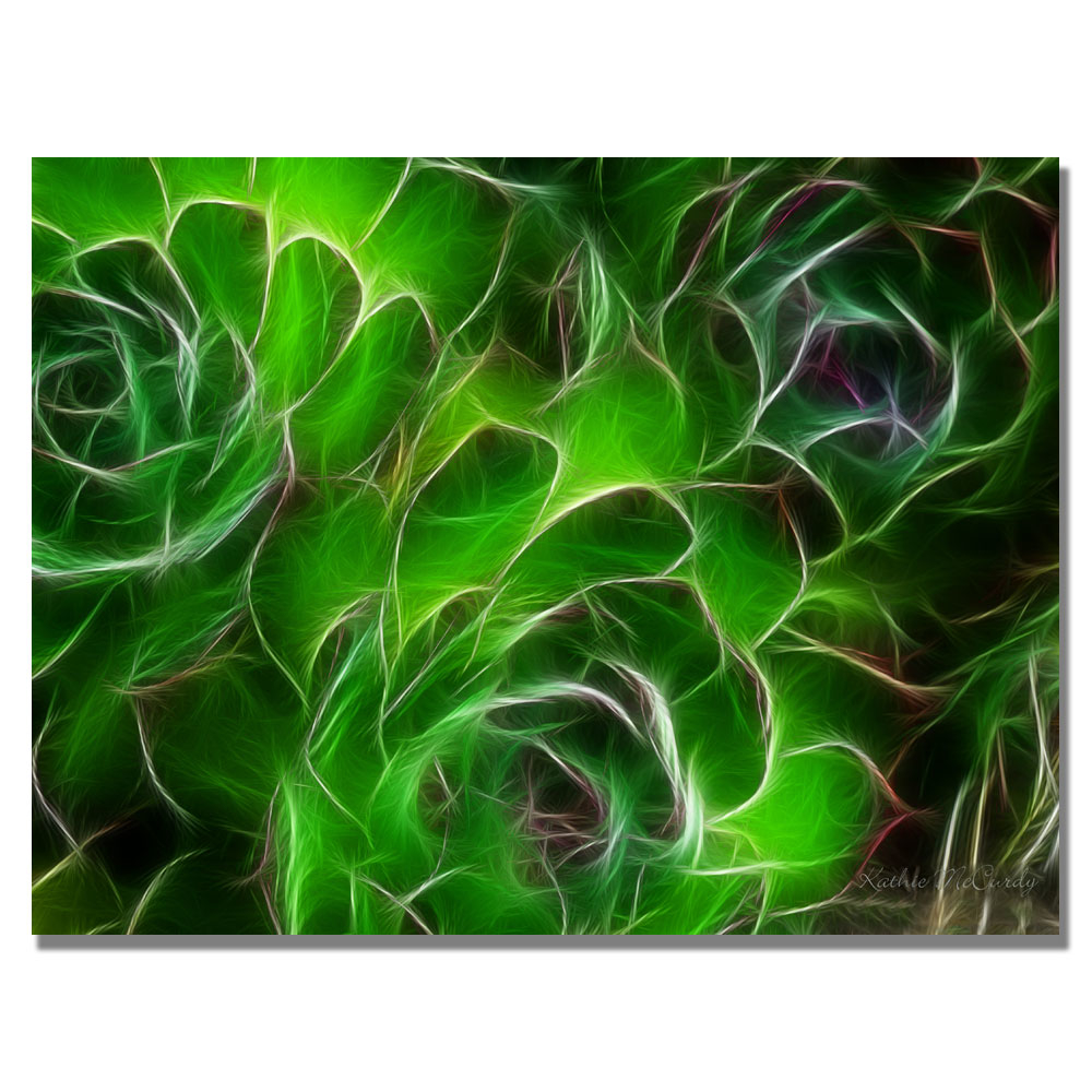 Kathie McCurdy 'Hens And Chicks' Canvas Wall Art 35 X 47