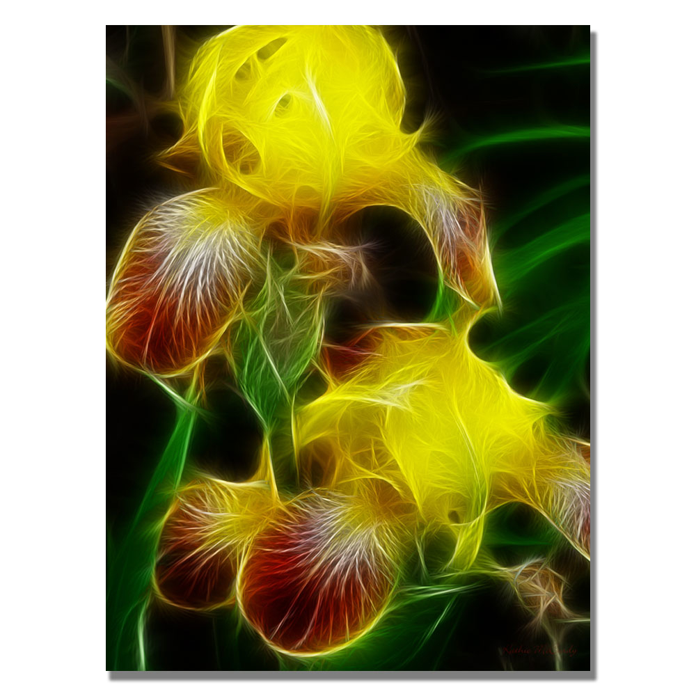 Kathie McCurdy 'Yellow Iris' Canvas Wall Art 35 X 47
