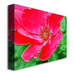 Kathie McCurdy 'Red Rose' Canvas Wall Art 35 X 47