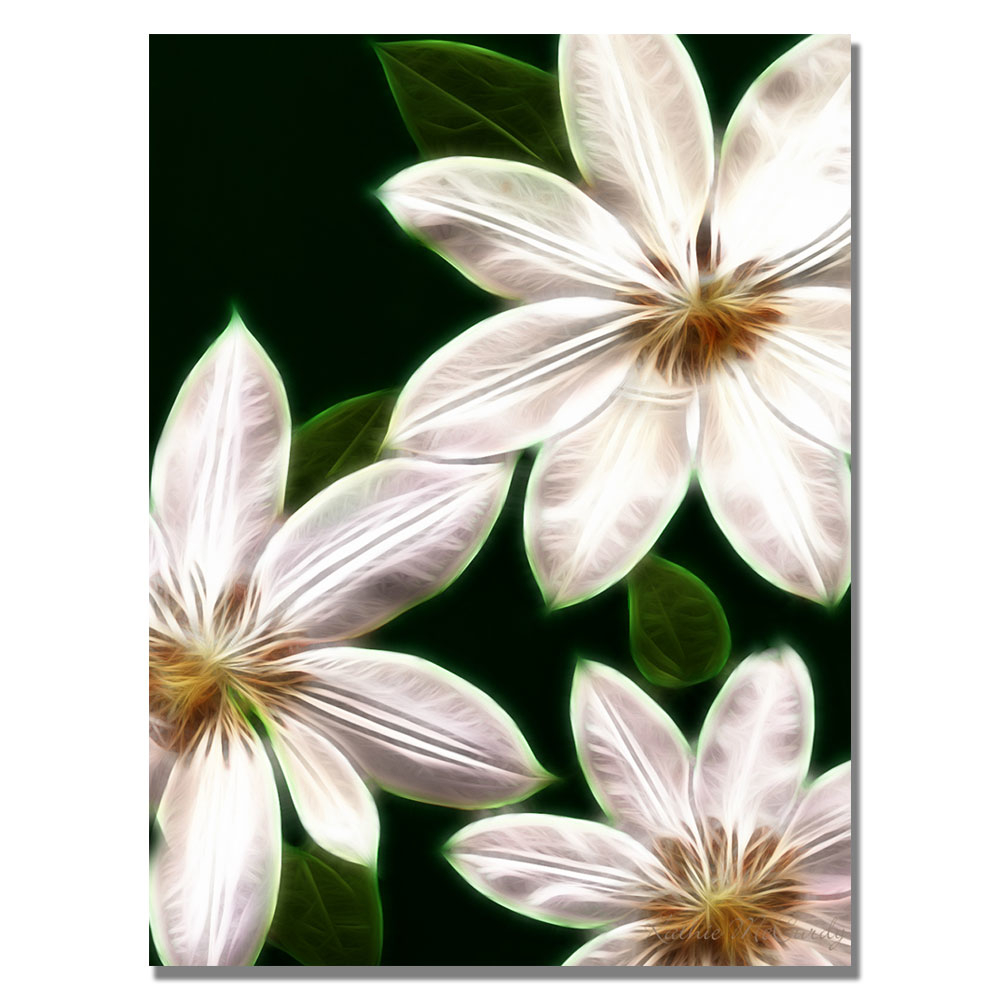 Kathie McCurdy 'White Clematis' Canvas Wall Art 35 X 47