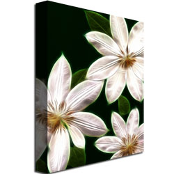 Kathie McCurdy 'White Clematis' Canvas Wall Art 35 X 47