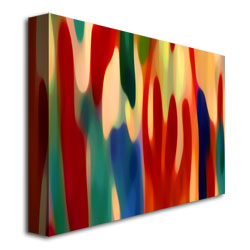 Amy Vangsgard 'Light Through Window Box' Canvas Wall Art 35 X 47