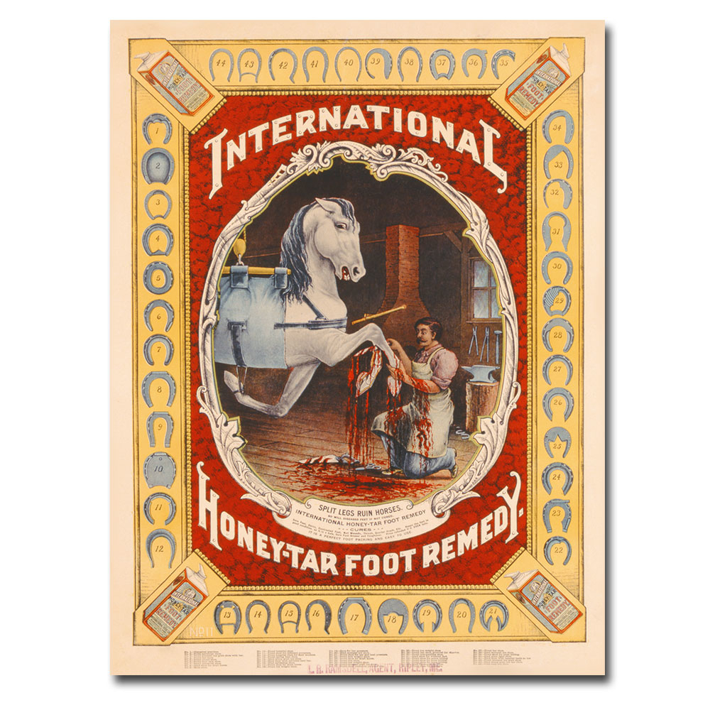 Honey Tar Foot Remedy For Horses 1890' Canvas Wall Art 35 X 47