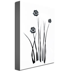 Kathie McCurdy 'White And Black Bunch' Canvas Wall Art 35 X 47