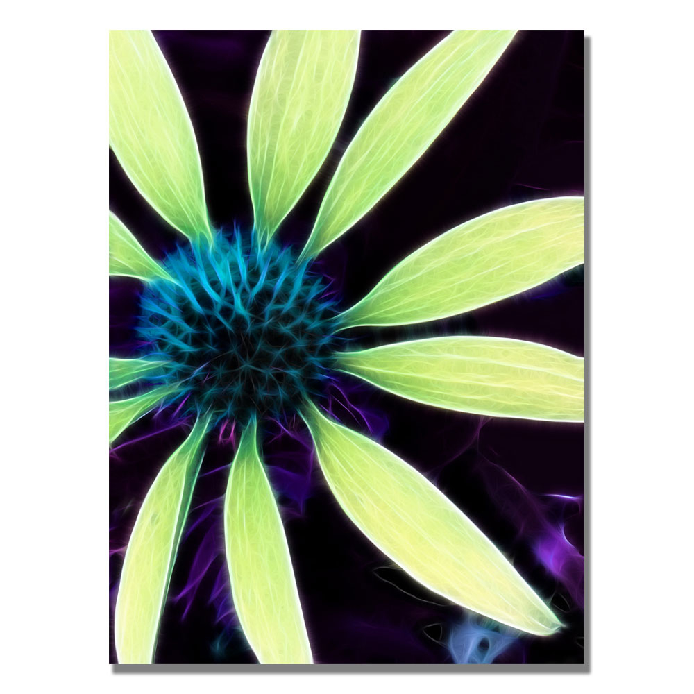 Kathie McCurdy 'Lime Green Coneflower' Canvas Wall Art 35 X 47