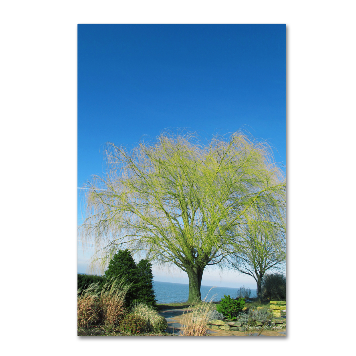 Kathie McCurdy 'Wind To The Willow' Canvas Wall Art 35 X 47