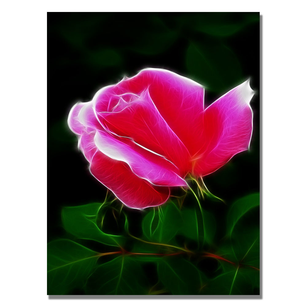Kathie McCurdy 'Pink Rose Abstract' Canvas Wall Art 35 X 47