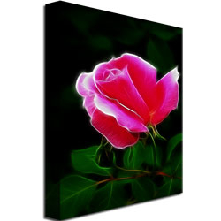 Kathie McCurdy 'Pink Rose Abstract' Canvas Wall Art 35 X 47
