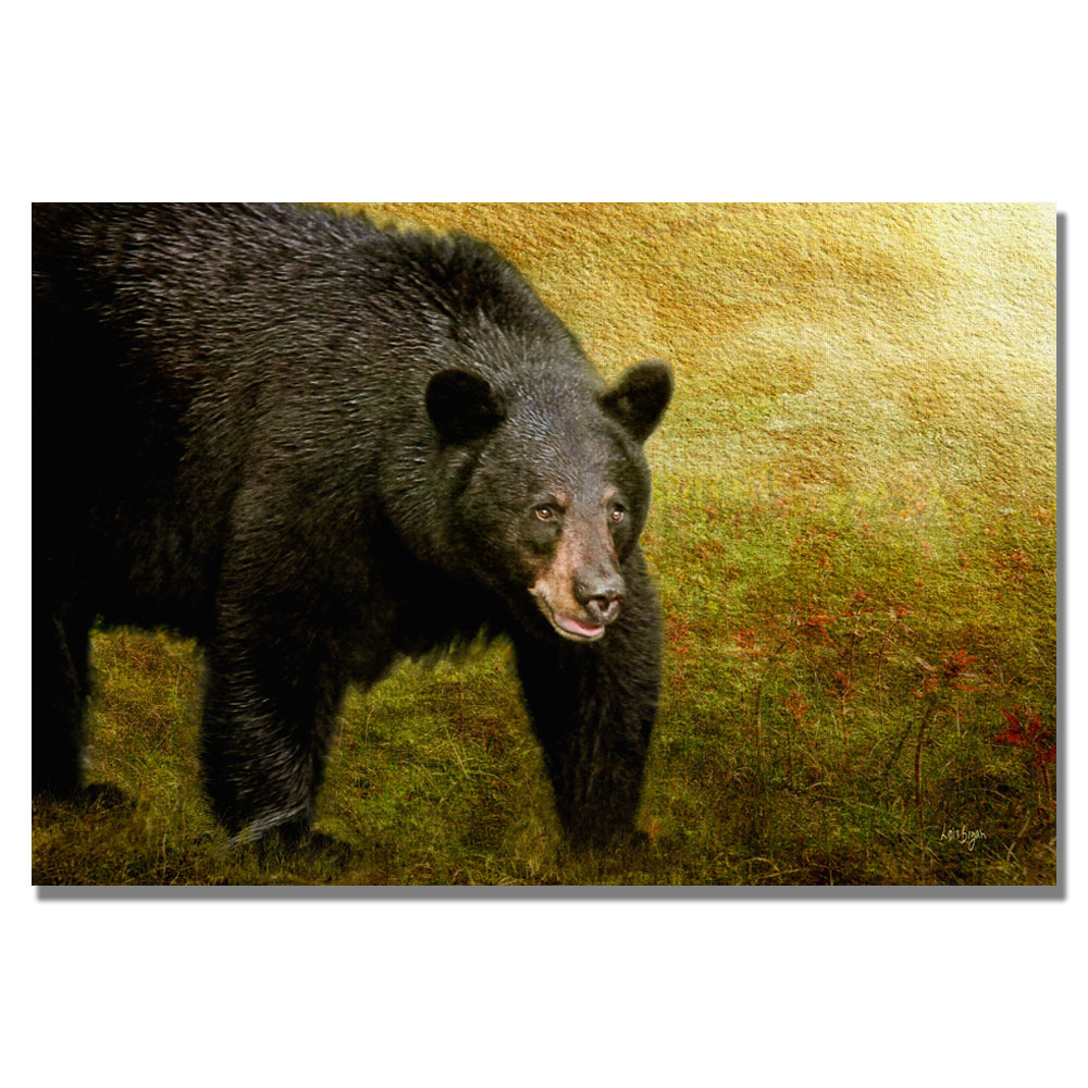 Lois Bryan 'Big Black Bear' Canvas Wall Art 35 X 47