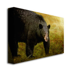 Lois Bryan 'Big Black Bear' Canvas Wall Art 35 X 47