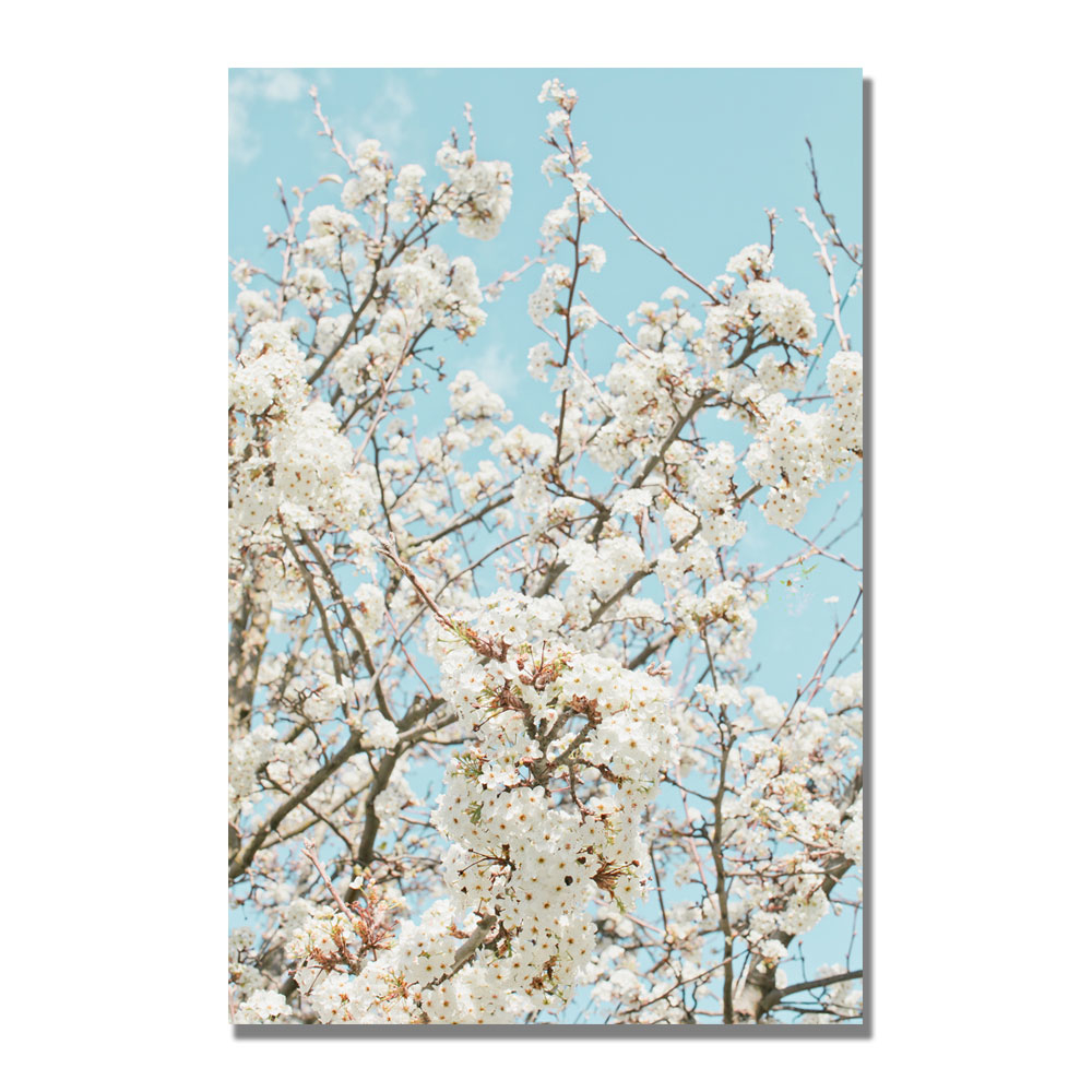 Ariane Moshayedi 'Blue Cherry Blossum' Canvas Wall Art 35 X 47