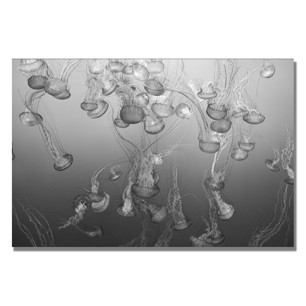 Ariane Moshayedi 'Jellyfish II' Canvas Wall Art 35 X 47