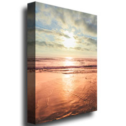 Ariane Moshayedi 'Sunset Beach Reflections II' Canvas Wall Art 35 X 47