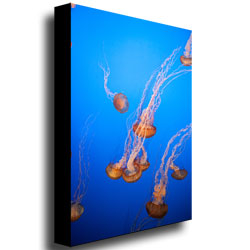 Ariane Moshayedi 'Jellyfish' Canvas Wall Art 35 X 47