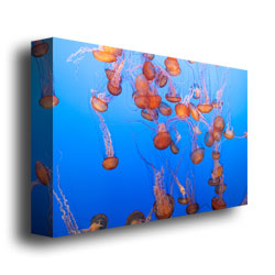 Ariane Moshayedi 'Jellyfish III' Canvas Wall Art 35 X 47