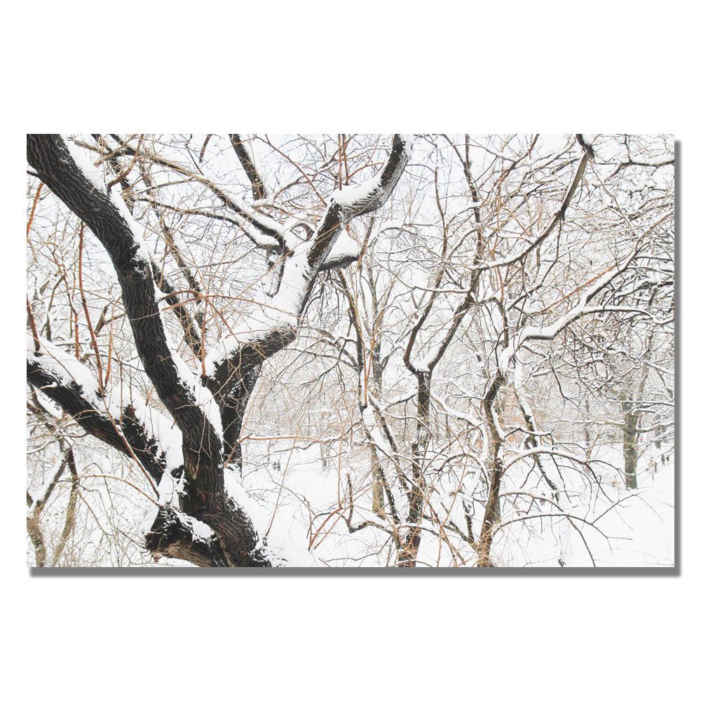 Ariane Moshayedi 'Snowy Trees' Canvas Wall Art 35 X 47