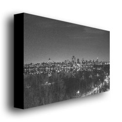 Ariane Moshayedi 'City From A Far II' Canvas Wall Art 35 X 47