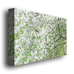 Ariane Moshayedi 'Flowers In The Trees' Canvas Wall Art 35 X 47