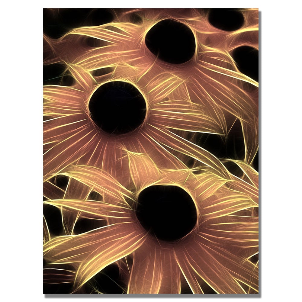 Kathie McCurdy 'Black Eyed Susans Abstract' Canvas Wall Art 35 X 47