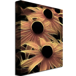 Kathie McCurdy 'Black Eyed Susans Abstract' Canvas Wall Art 35 X 47