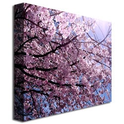 Ariane Moshayedi 'Cherry Blossom Flare' Canvas Wall Art 35 X 47