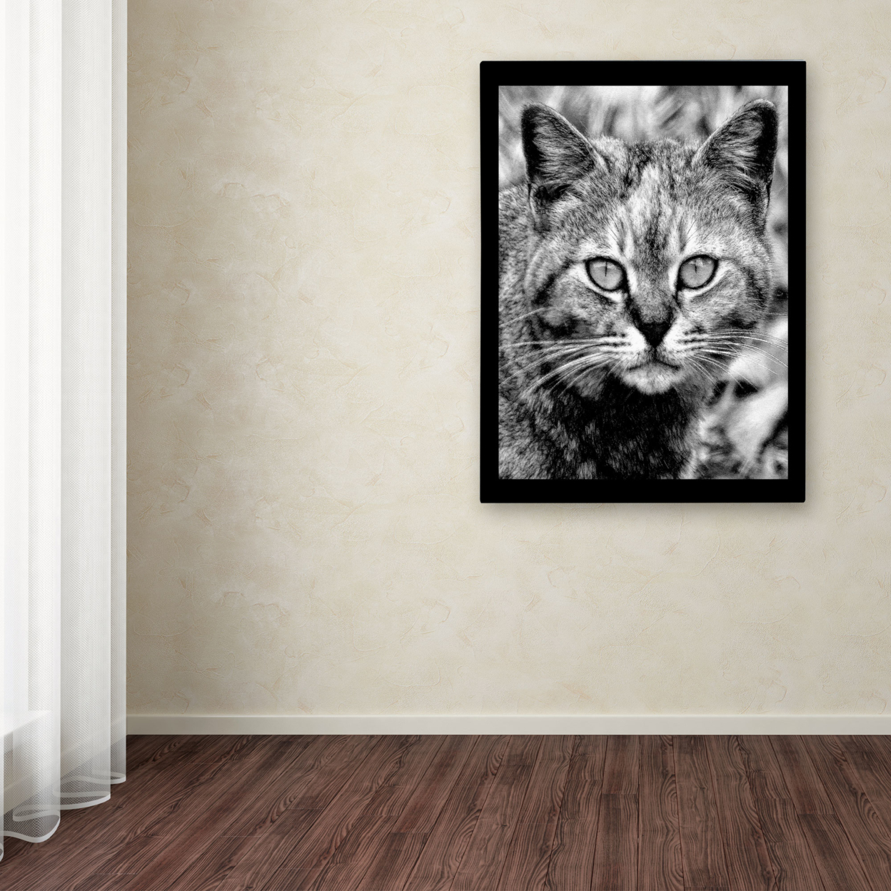 Patty Tuggle 'Black & White Pretty Kitty' Canvas Wall Art 35 X 47