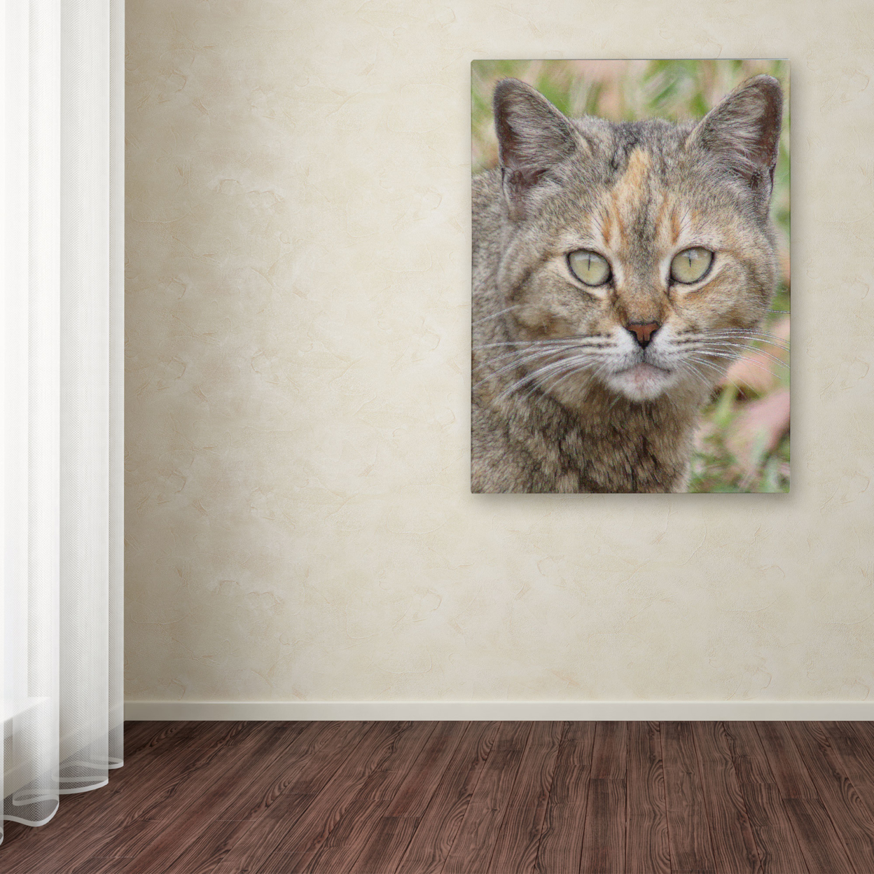 Patty Tuggle 'Pretty Kitty' Canvas Wall Art 35 X 47