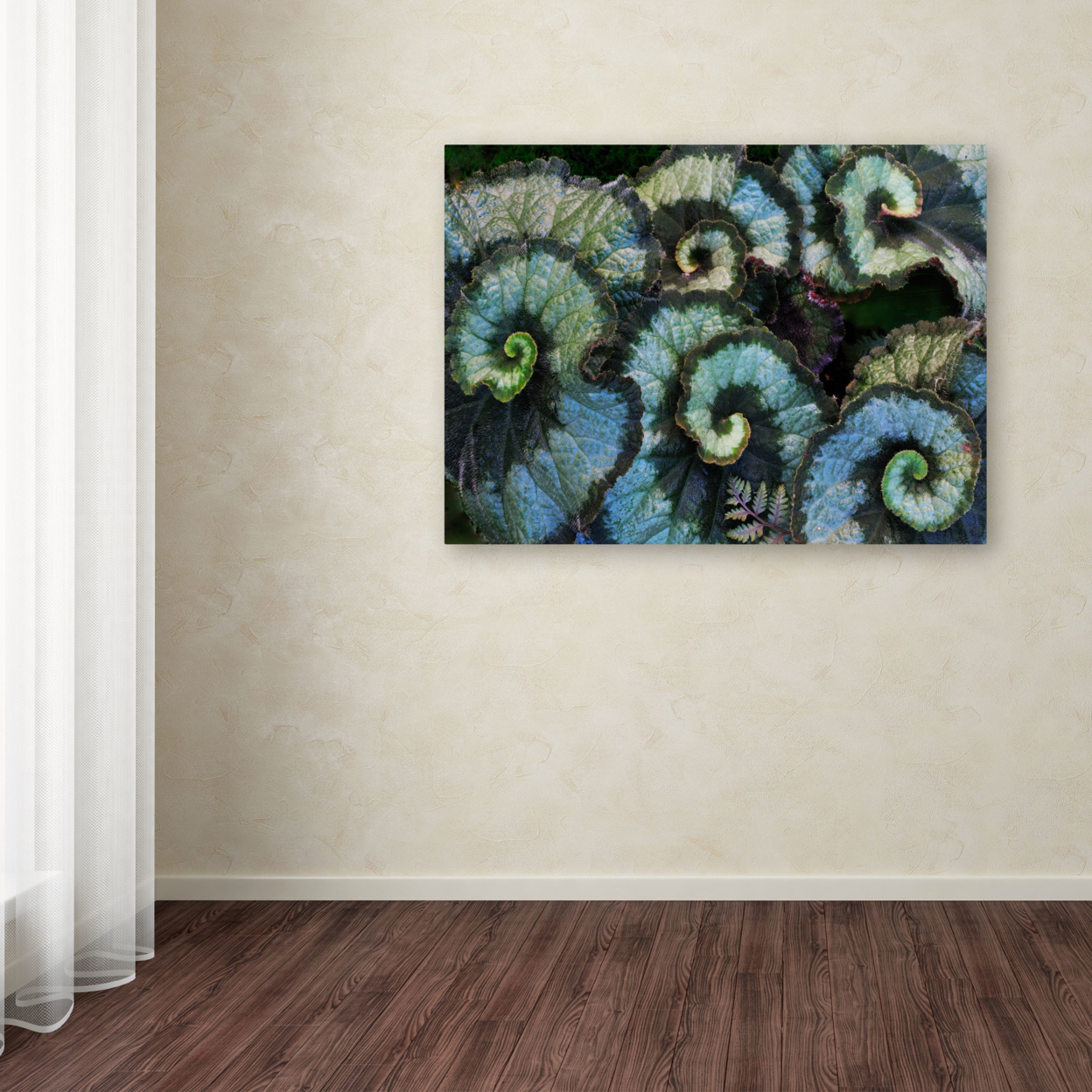 Kurt Shaffer 'Escargot Begonia' Canvas Wall Art 35 X 47