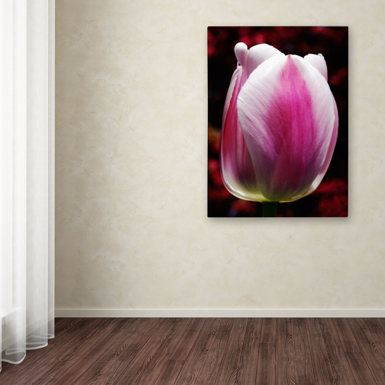 Kurt Shaffer 'Perfect Pink And White Tulip' Canvas Wall Art 35 X 47