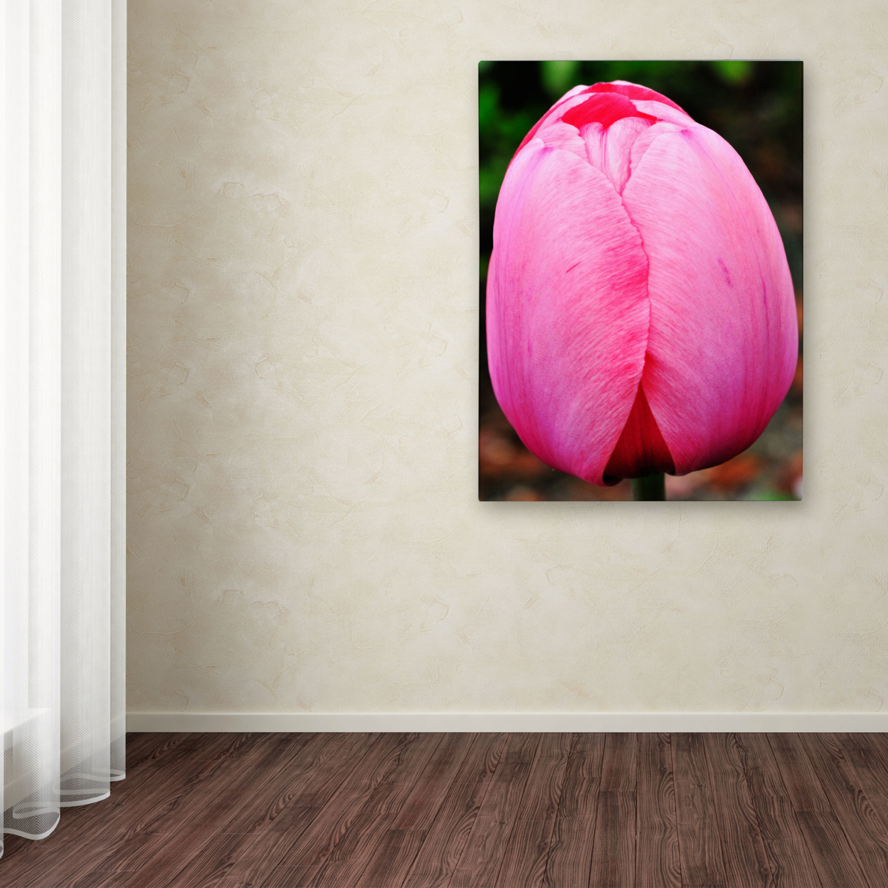 Kurt Shaffer 'Perfect Pink Tulip' Canvas Wall Art 35 X 47