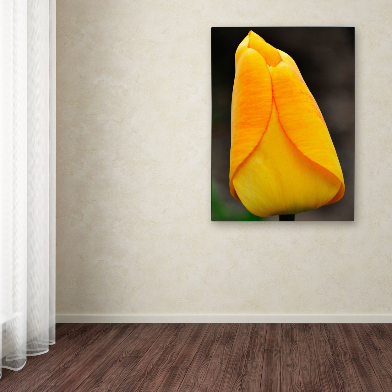Kurt Shaffer 'Perfect Yellow Tulip' Canvas Wall Art 35 X 47
