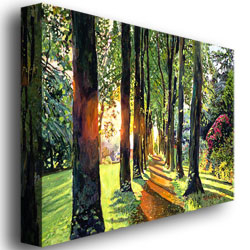 David Lloyd Glover, 'Forest Of Enchantment' Canvas Wall Art 35 X 47 Inches