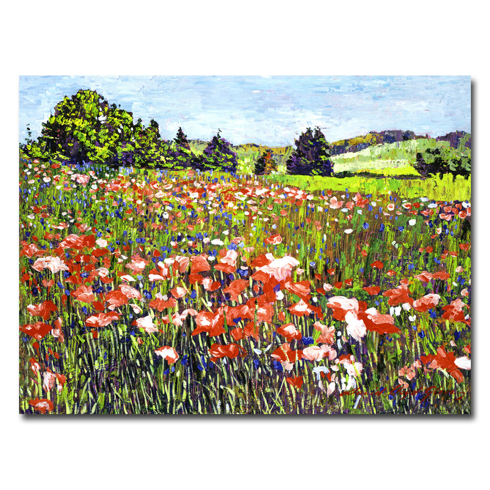 David Lloyd Glover, 'Poppy Fields Of France' Canvas Wall Art 35 X 47 Inches