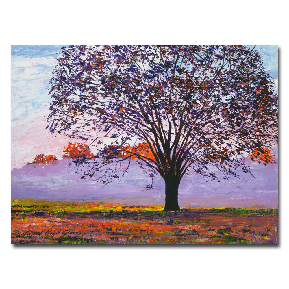 David Lloyd Glover 'Majestic Tree In Morning Mist' Canvas Wall Art 35 X 47 Inches