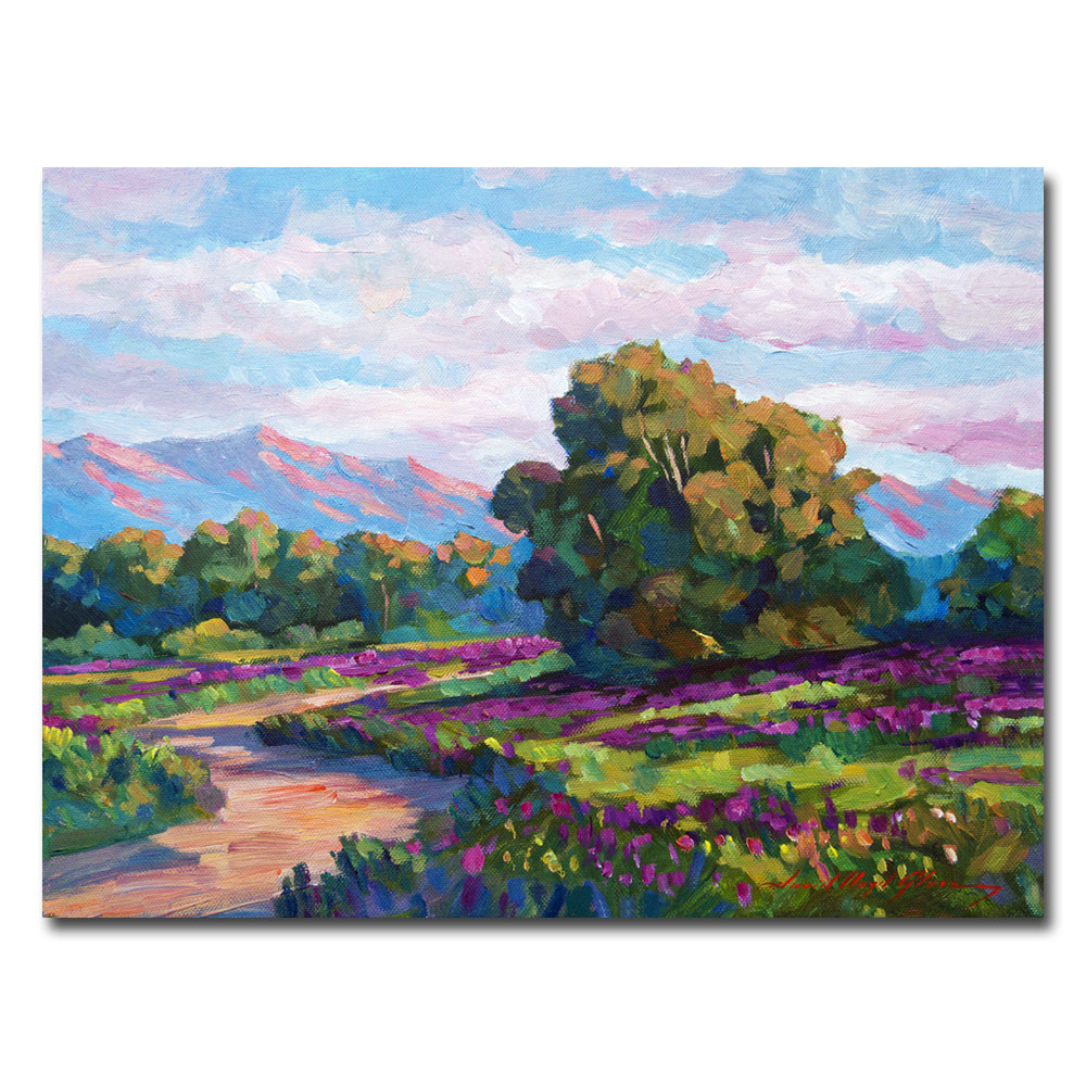 David Lloyd Glover, 'California Hills' Canvas Wall Art 35 X 47 Inches