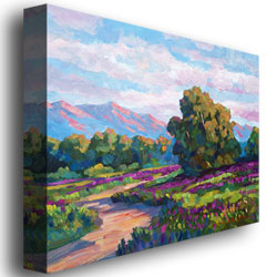 David Lloyd Glover, 'California Hills' Canvas Wall Art 35 X 47 Inches