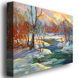 David Lloyd 'Approaching Winter' Canvas Wall Art 35 X 47 Inches