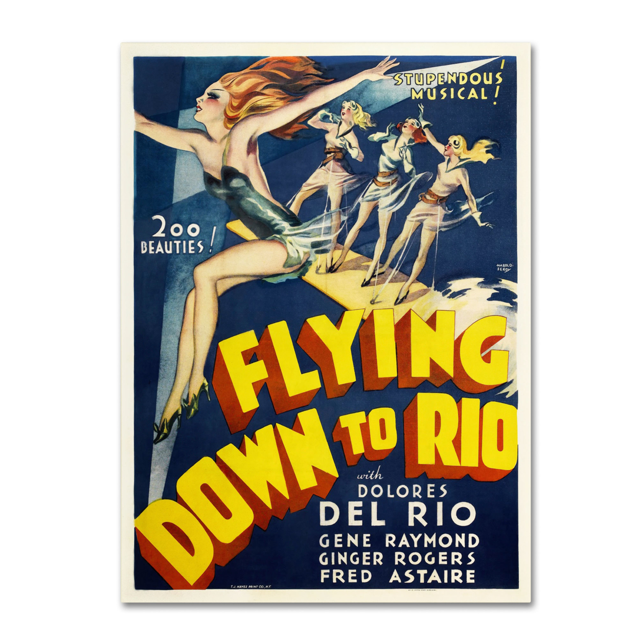 Vintage Apple Collection 'Flying Down To Rio' Canvas Wall Art 35 X 47 Inches