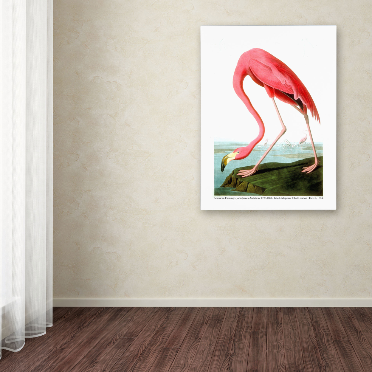 John James Audubon 'American Flamingo' 1834 Canvas Wall Art 35 X 47 Inches