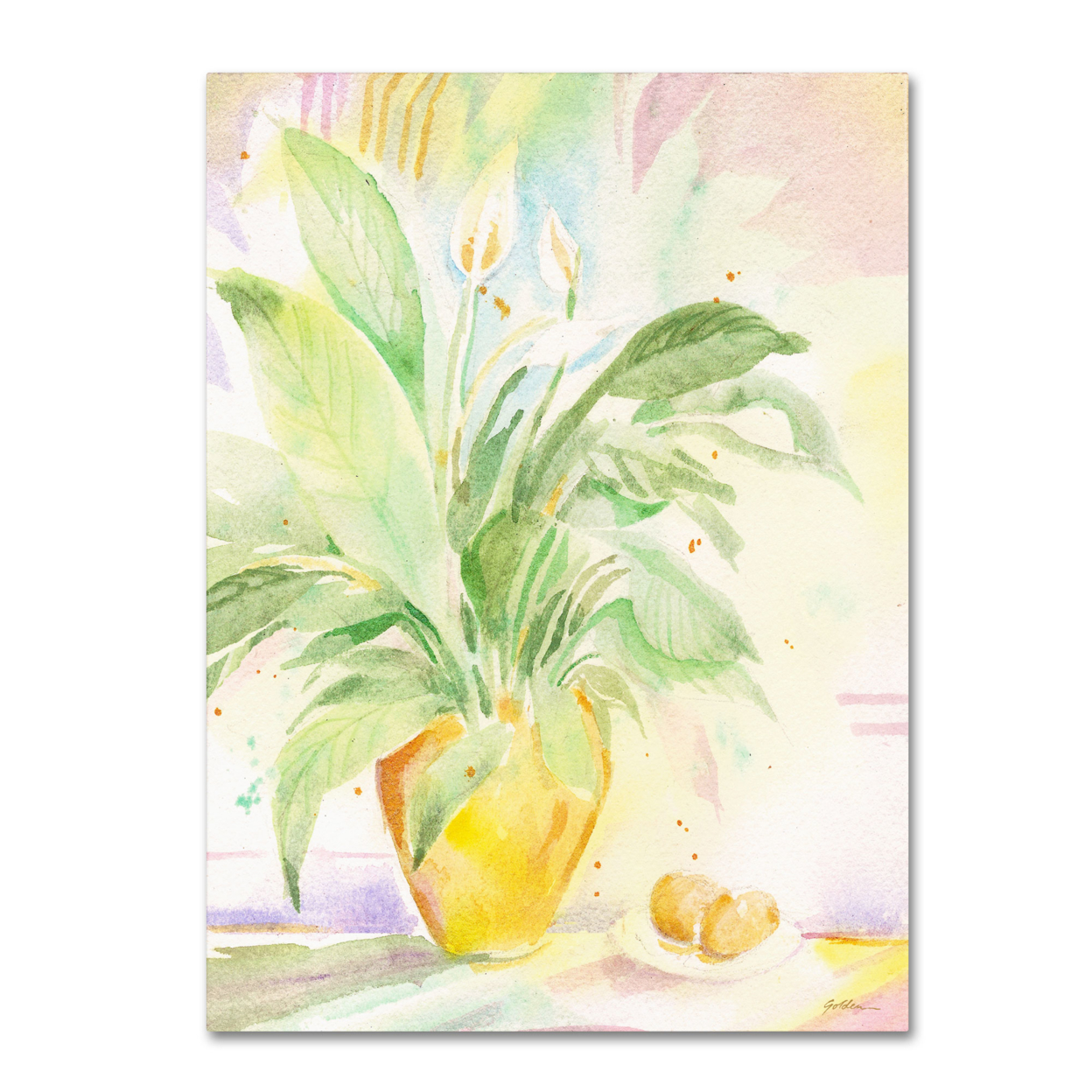 Sheila Golden 'The Peace Lily' Canvas Wall Art 35 X 47 Inches