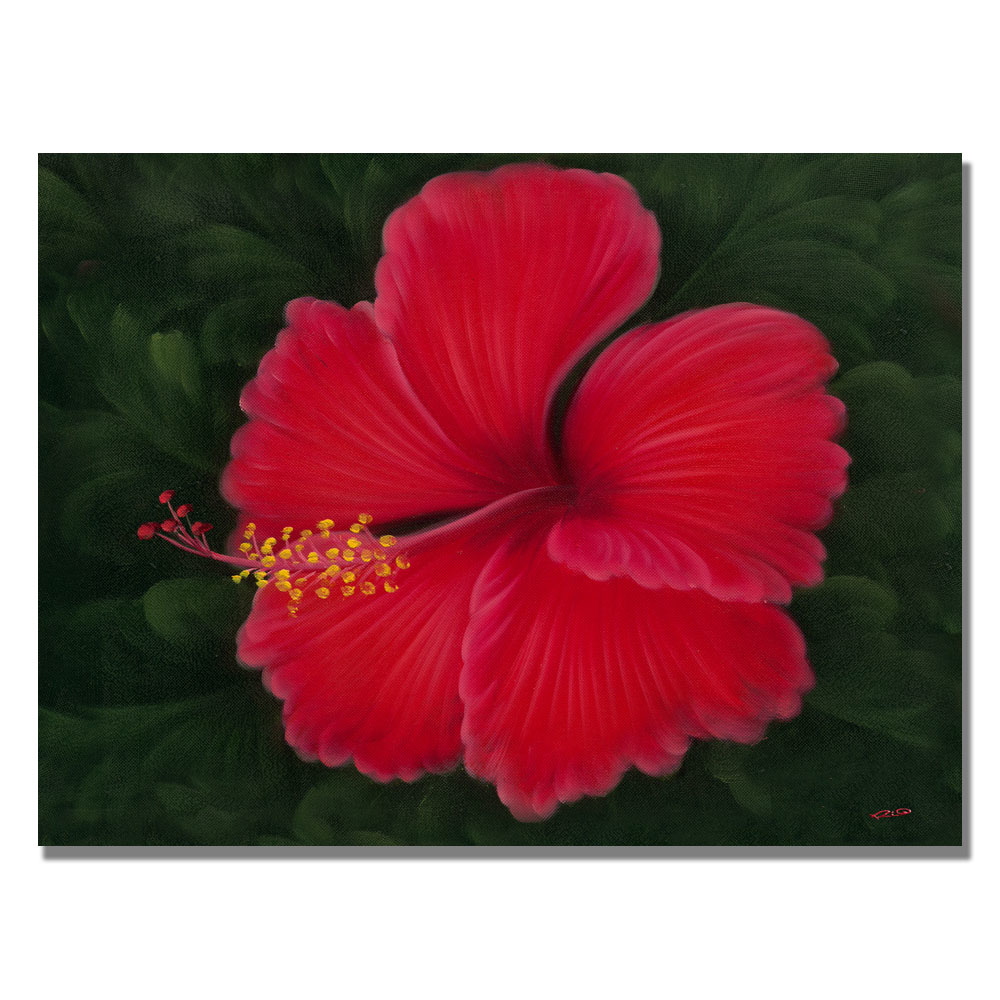 Rio 'Red' Canvas Wall Art 35 X 47 Inches